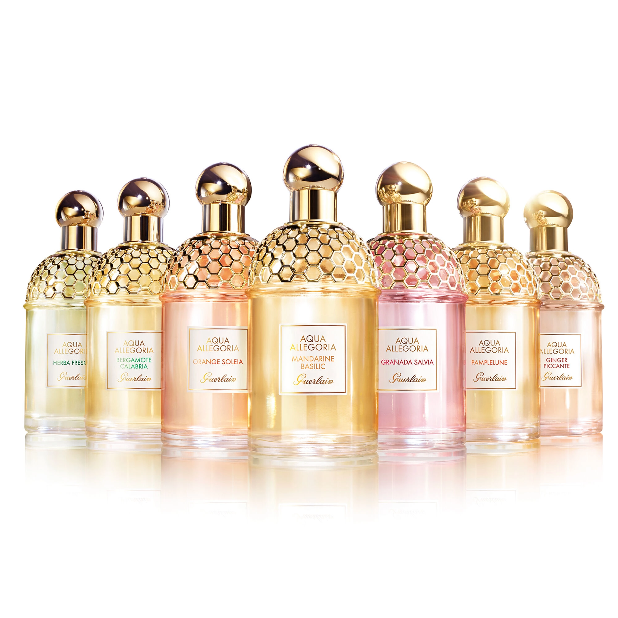 Aqua Allegoria Woody Forte Rosa Palissandro Eau de Parfum 75ml