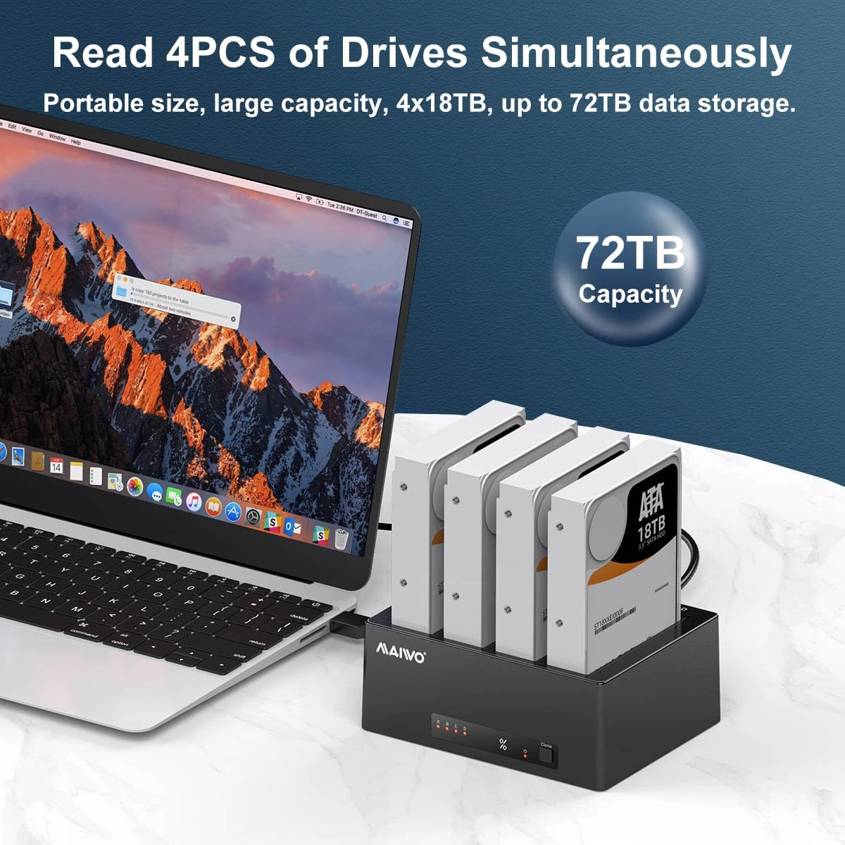 Hard Drive Docking Station - 4 Bay