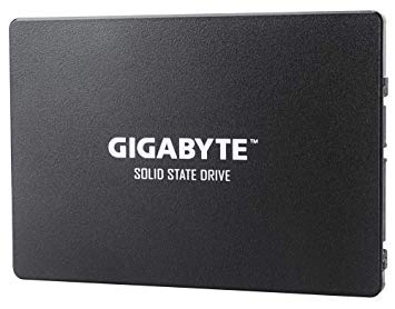 GP-GSTFS31100TNTD - 1 TB 2.5-inch