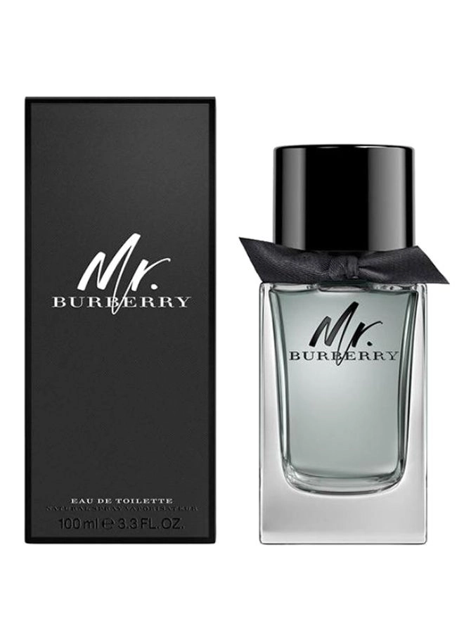 Mr.Burberry Eau de Toilette 100 ml