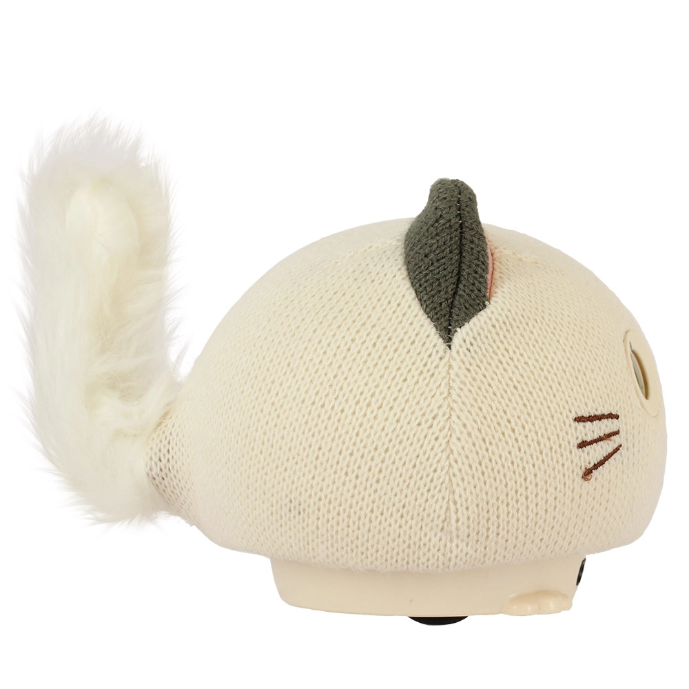 Purro Teksta Kitty - 5 years+