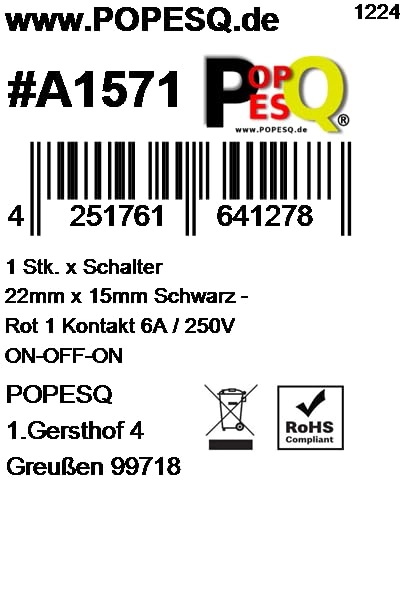1 x 1 contact switch - ON-OFF-ON 6 A/250 V 22 mm x 15 mm