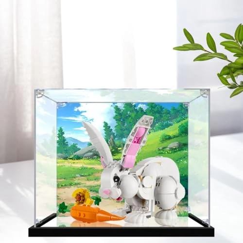 Figures Display Box - LEGO