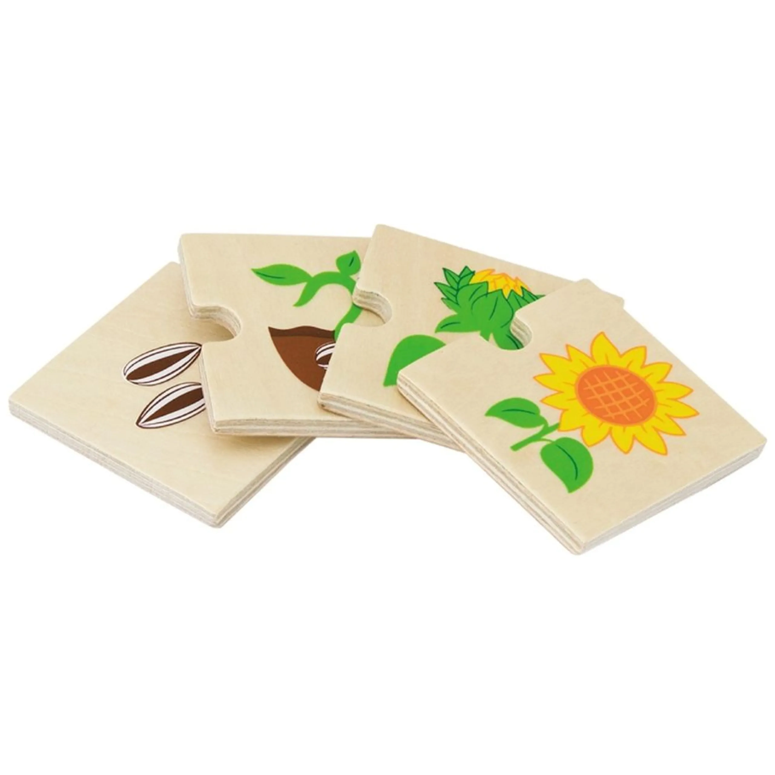 Growing Puzzle (SW-51609)