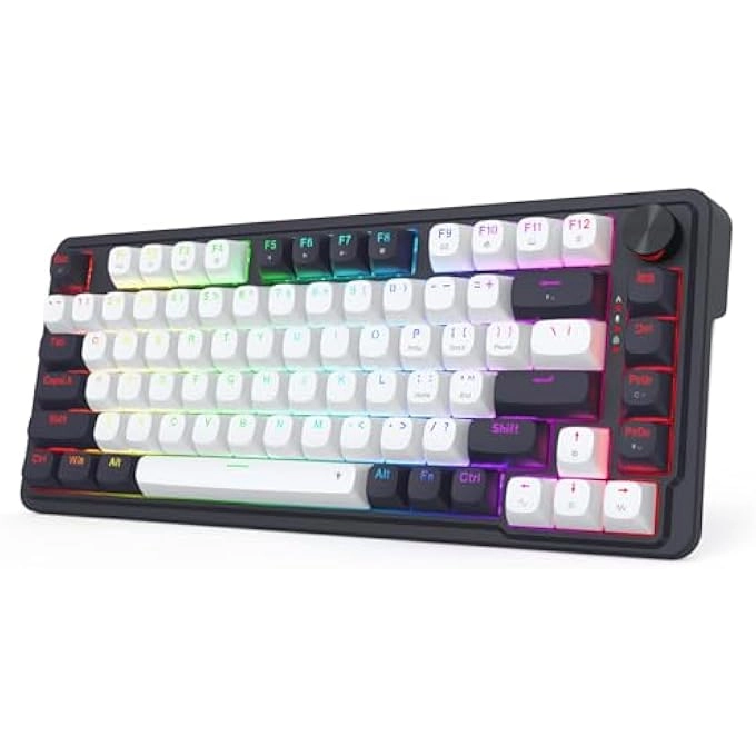 rayihni K673 - US Wired