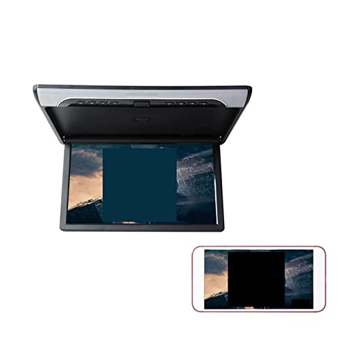 Car Screen - 19 inch