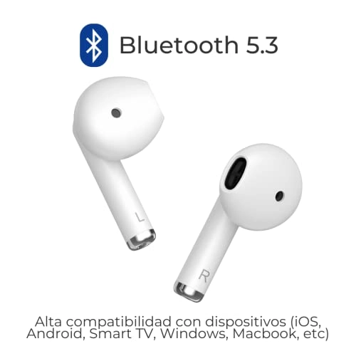 Buds 2 Wireless Earbud