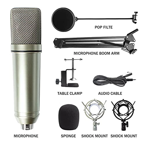 SR-BV4 Wired Microphone