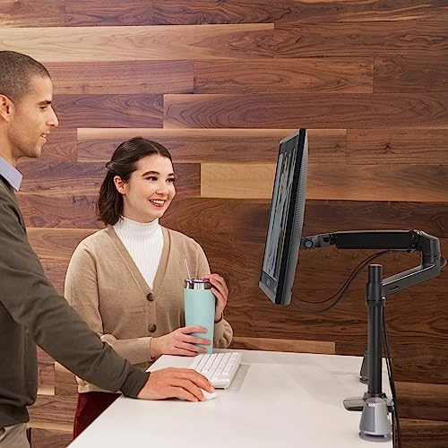 LX Monitor Arm - Single 34 inches 100x100mm