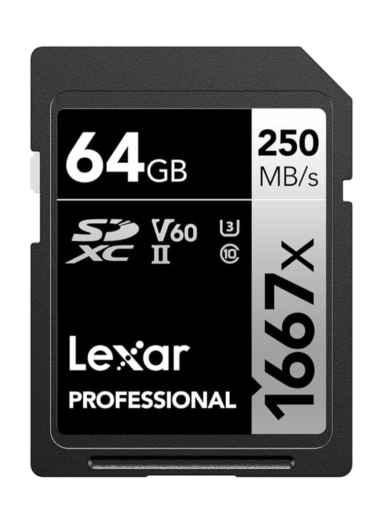 Professional 1667x - 64GB