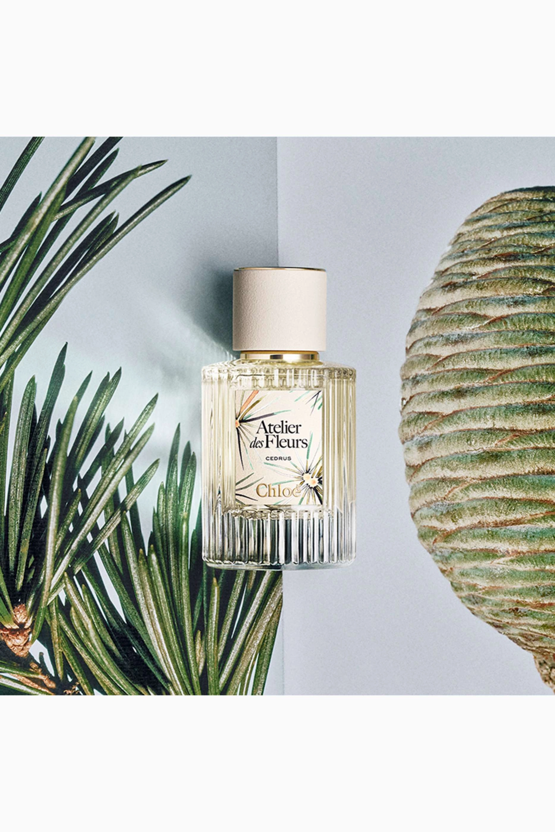 Atelier des Fleurs Cedrus Eau de Parfum 50 ml