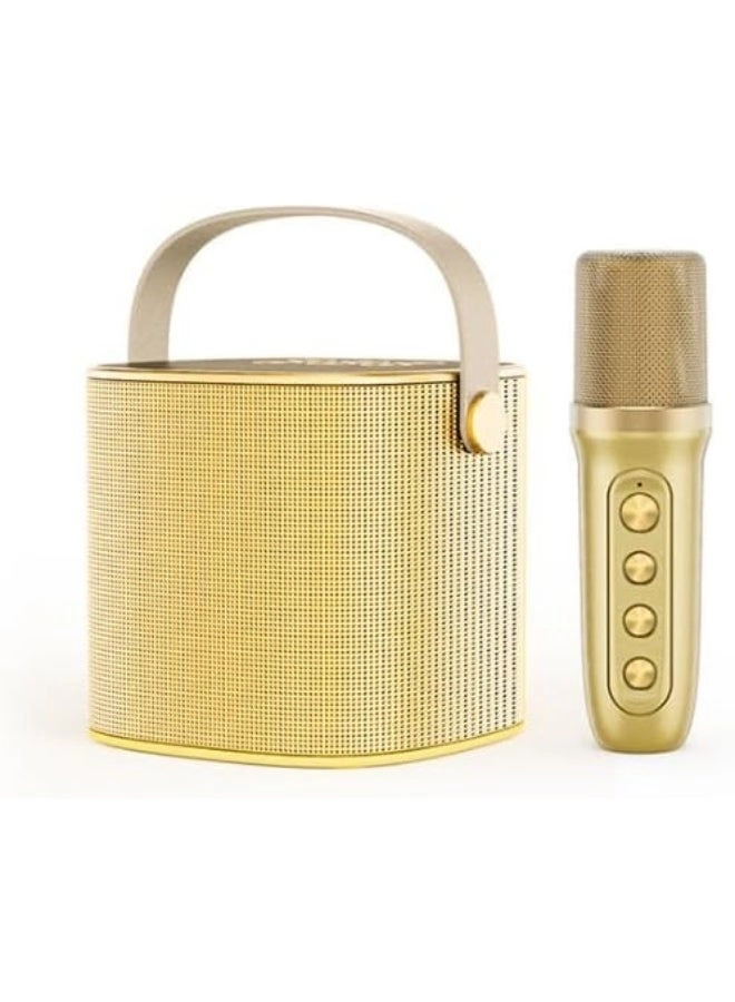 Portable karaoke speaker