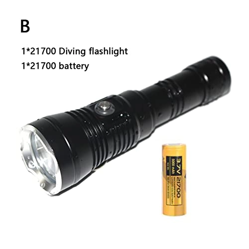 Professional Submersible Light