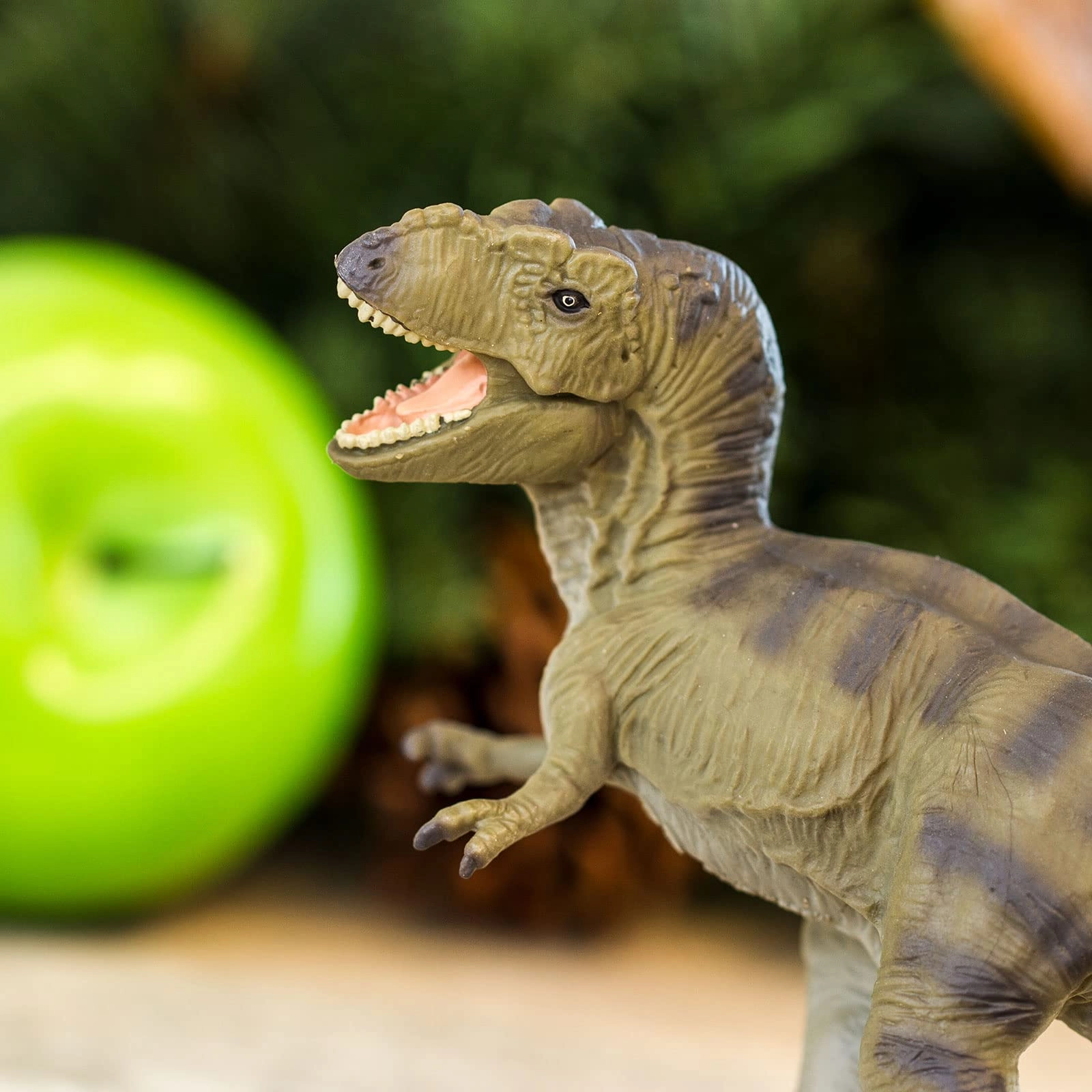 Dinosaur - Tyrannosaurus Rex