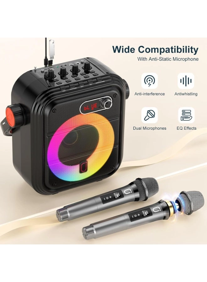 Karaoke machine - 2 wireless microphone