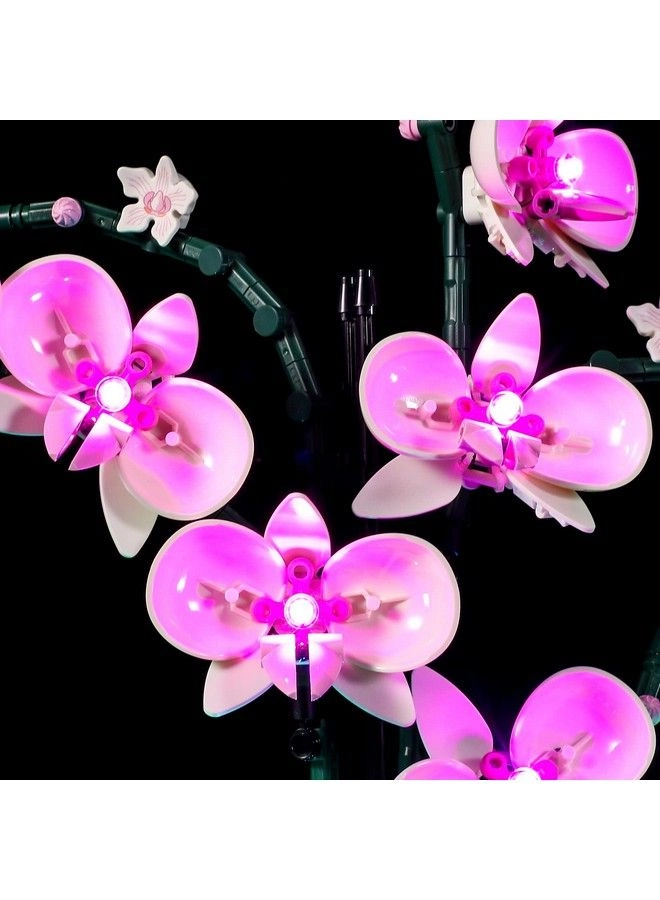 Led Lighting Kit - Flowers