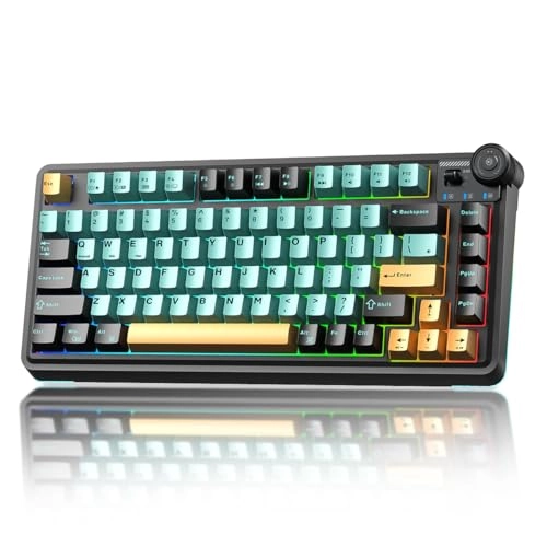 AU75 - Wired/Wireless