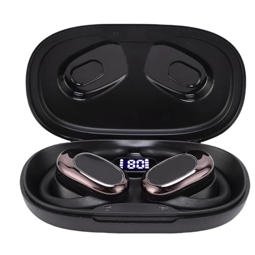 Al Translation Earphones - over 164 languages + Earphone Charging Case + Charging Cable + User Manual