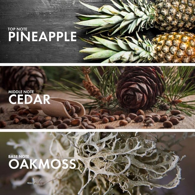 Grapefruit Patchouli Eau de Parfum 50 ml