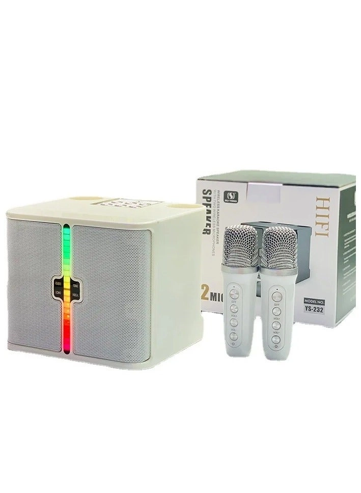 YS-232 - Double Wireless Microphones