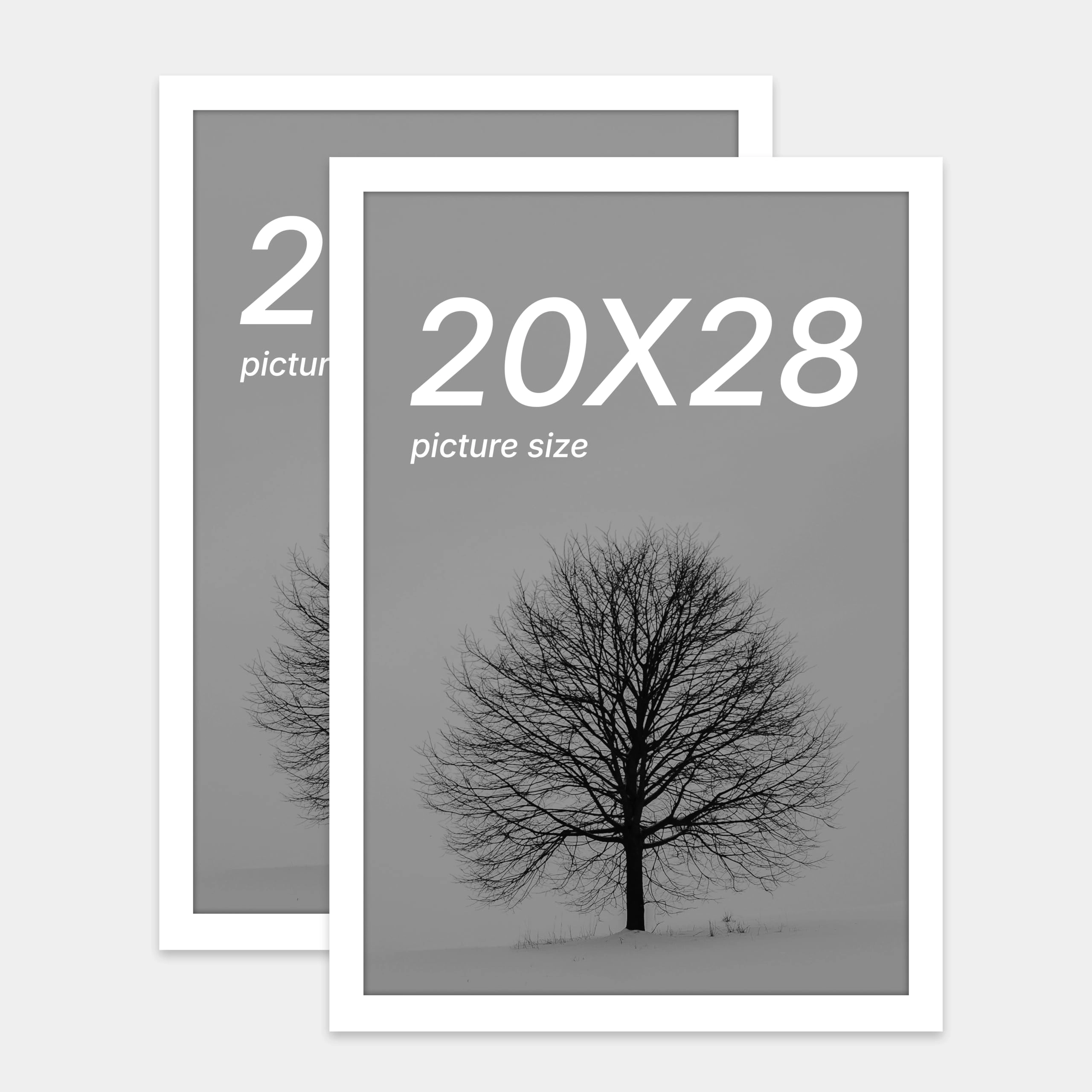 Document Frame - 20x28 Inch