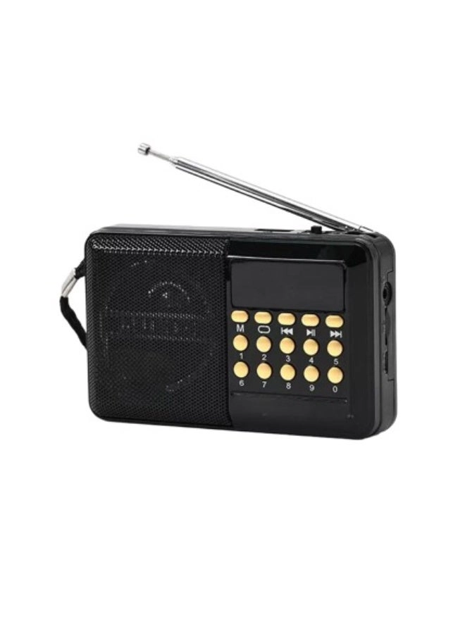 Multiband Radio - Portable
