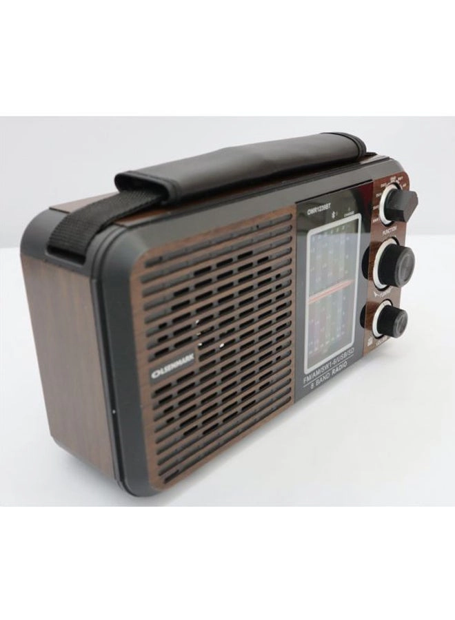 FM/AM/SW Radio & Music Player - Portable