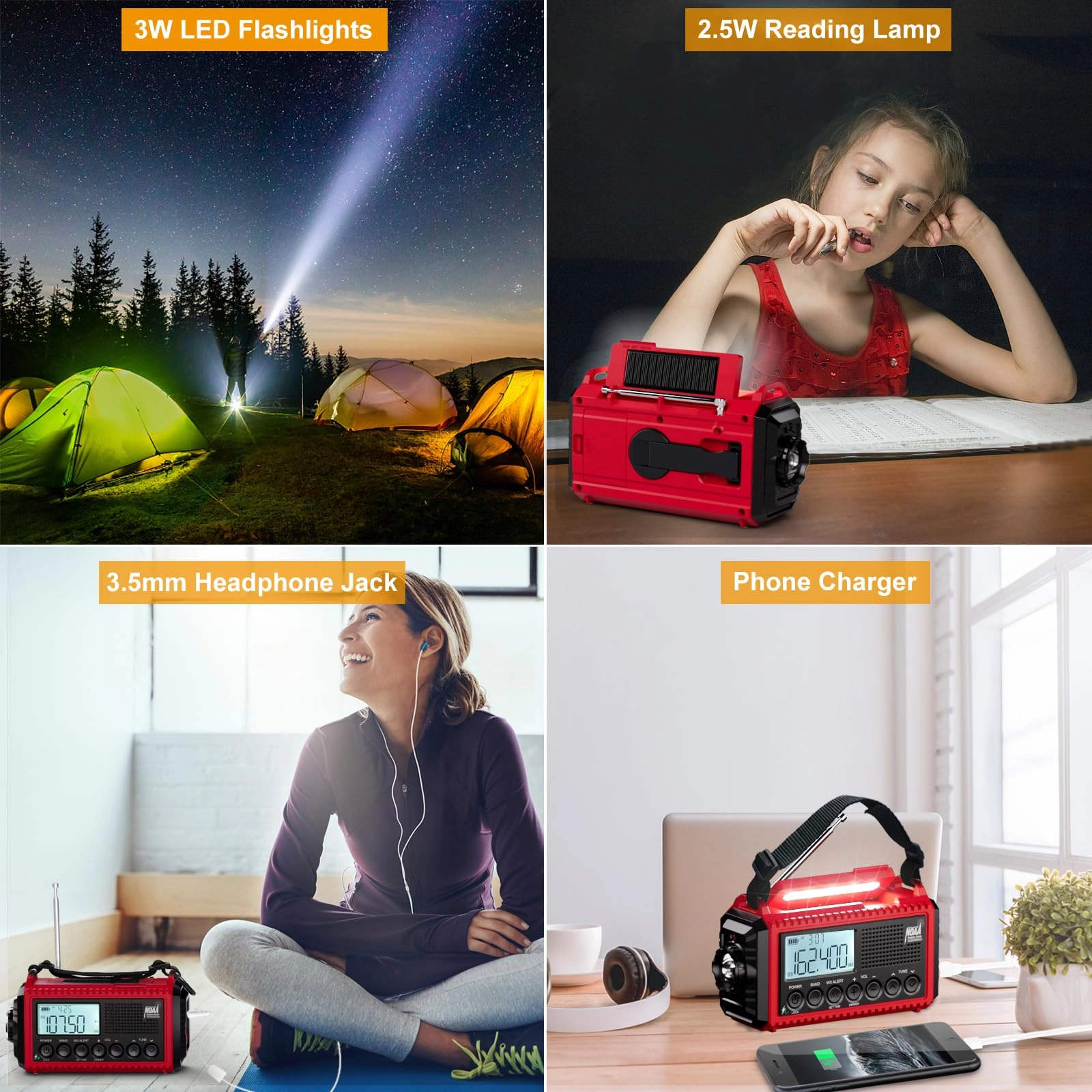 CR1009Pro - Portable radio