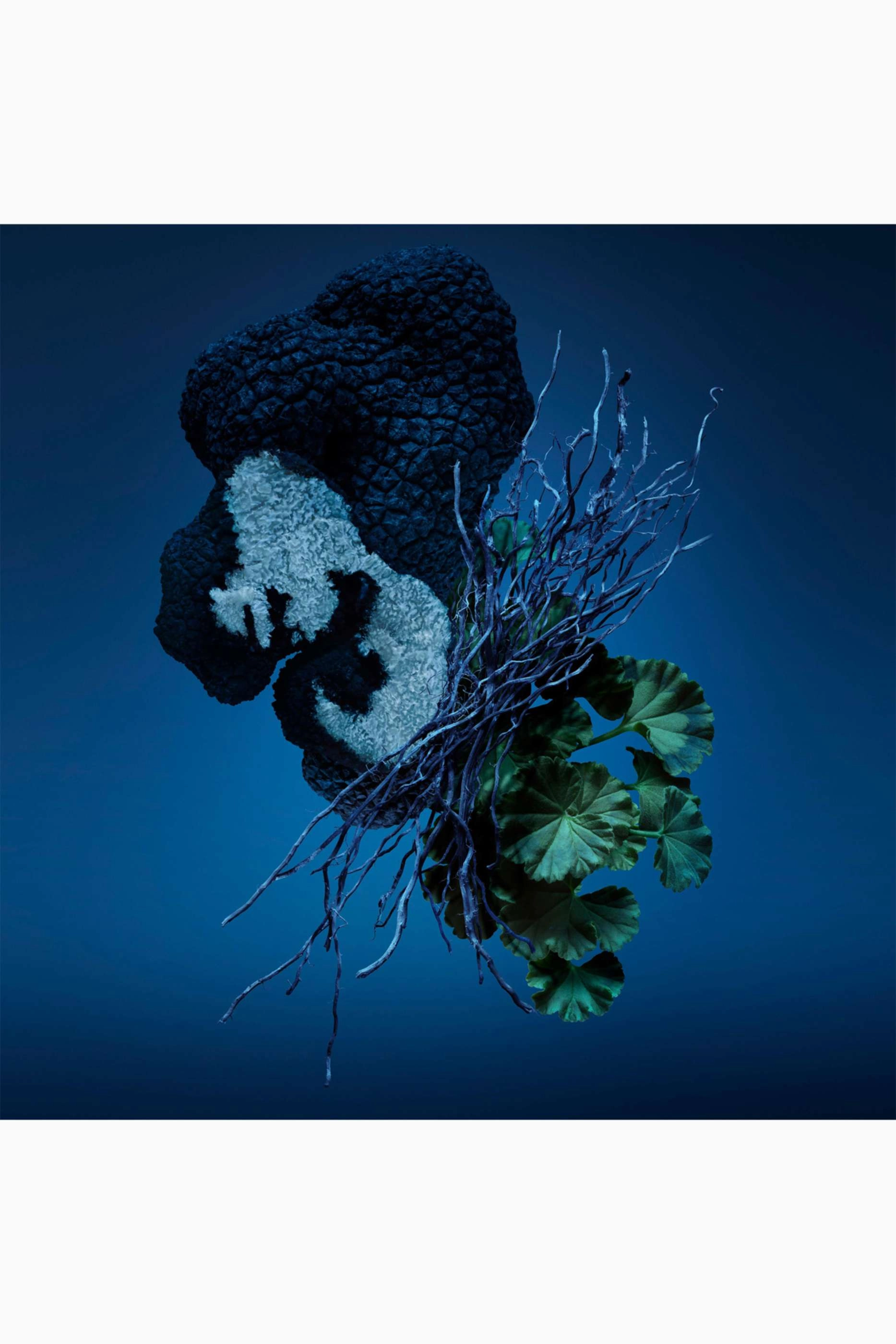 Bad Boy Cobalt Eau de Parfum - 100ml