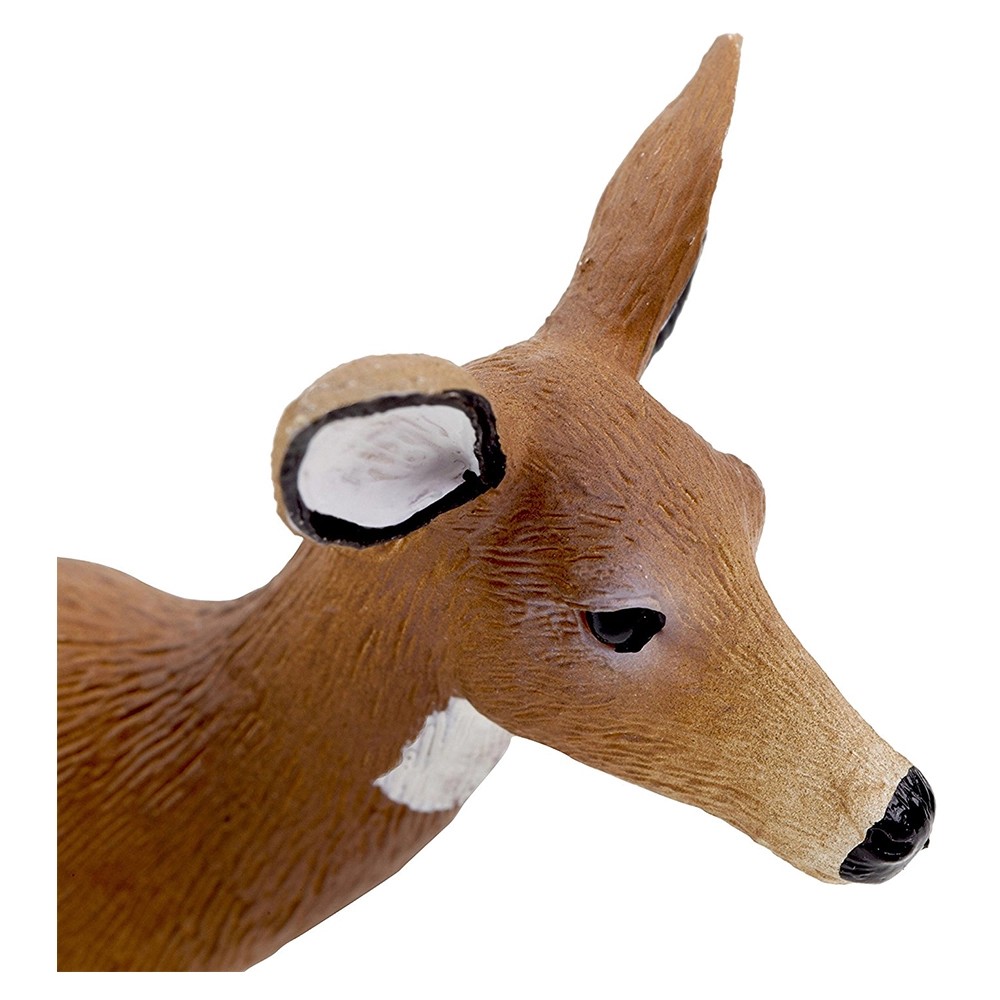 Mojo White Tailed Deer Doe
