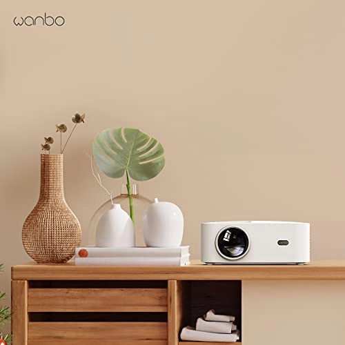 X1 Pro 350 ANSI lumens