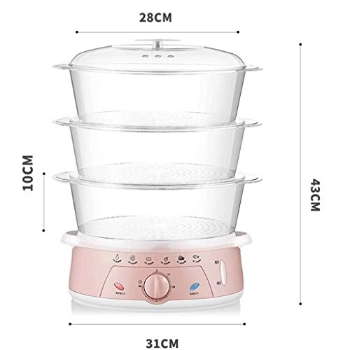 Electric Steamer - 3