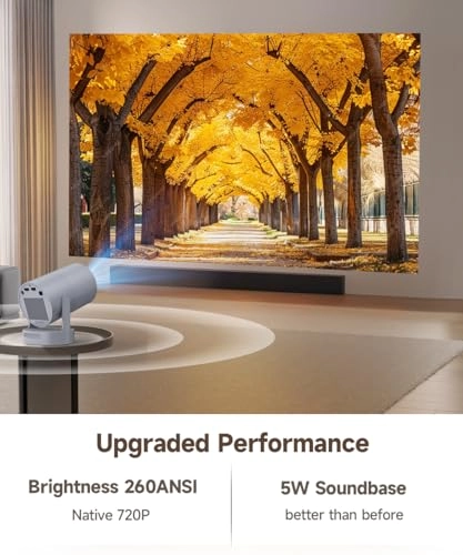 Freestyle HY300 200 ANSI