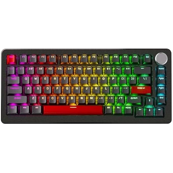 rayihni A75 PRO - ANSI Wired