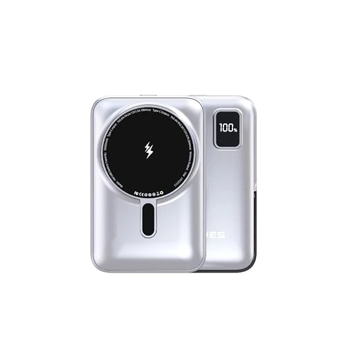 PW173D - 10,000mAh 20W