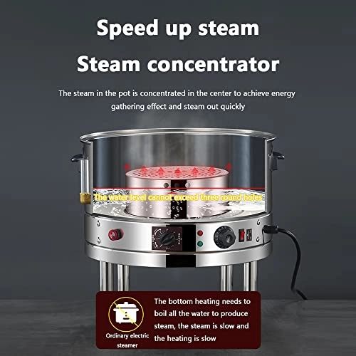 Electric Steamer - 20 Liters