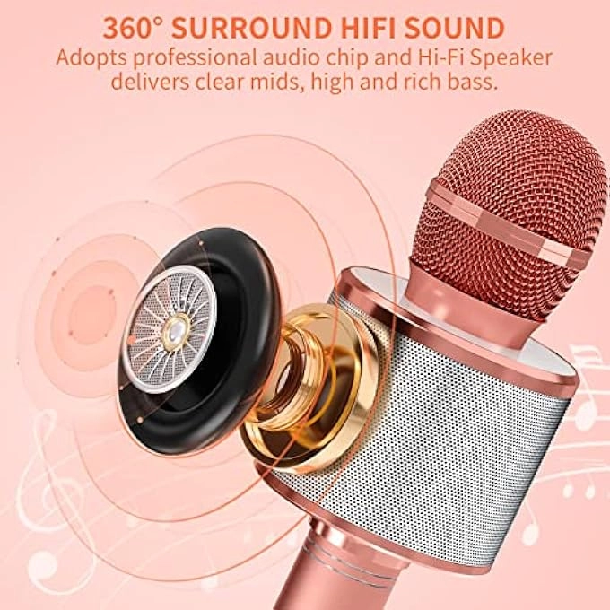 WIRELESS BLUETOOTH MICROPHONE