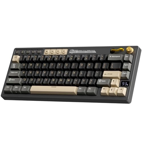 M65 - Wired/Wireless