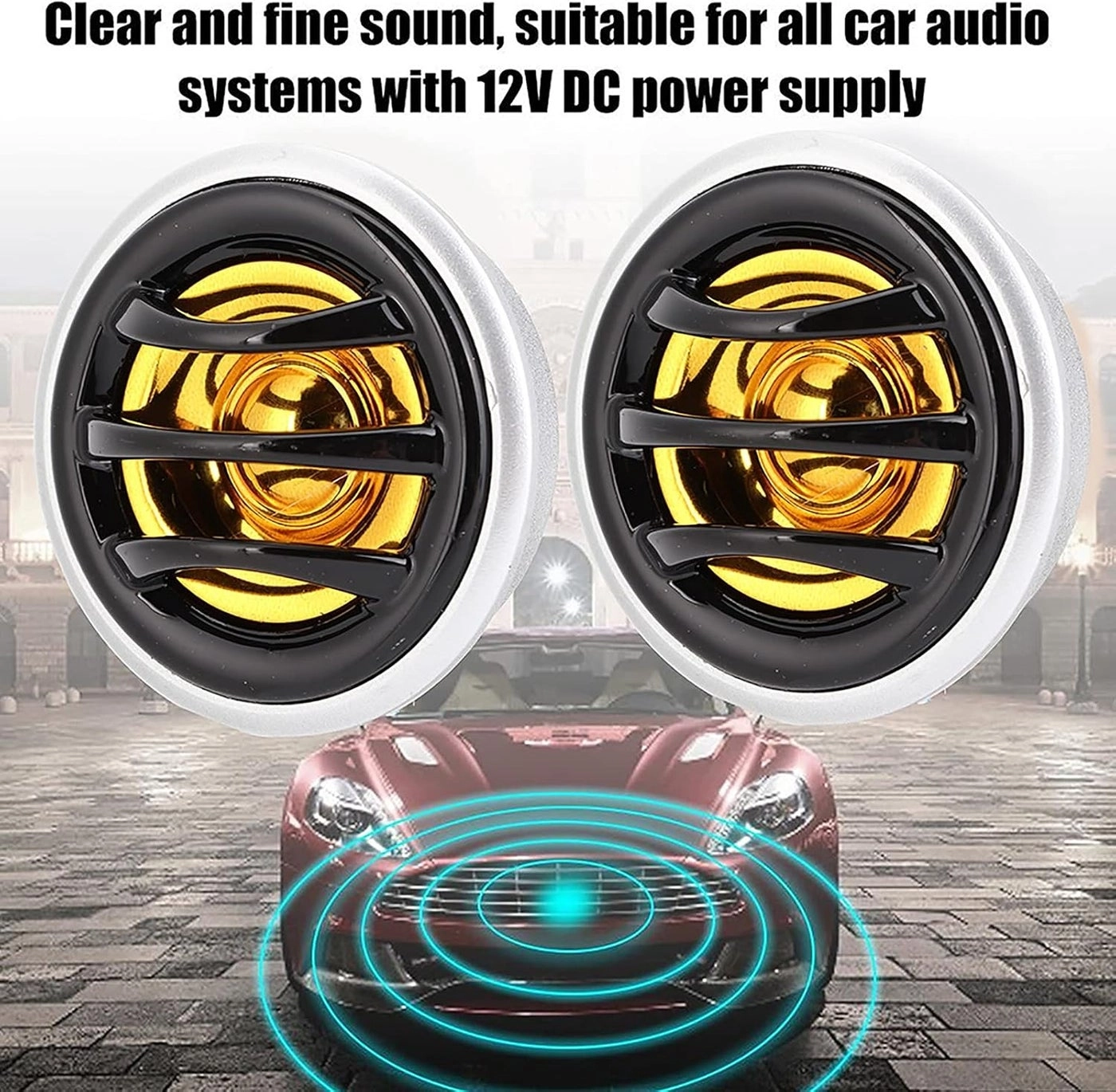 Car Audio Speaker