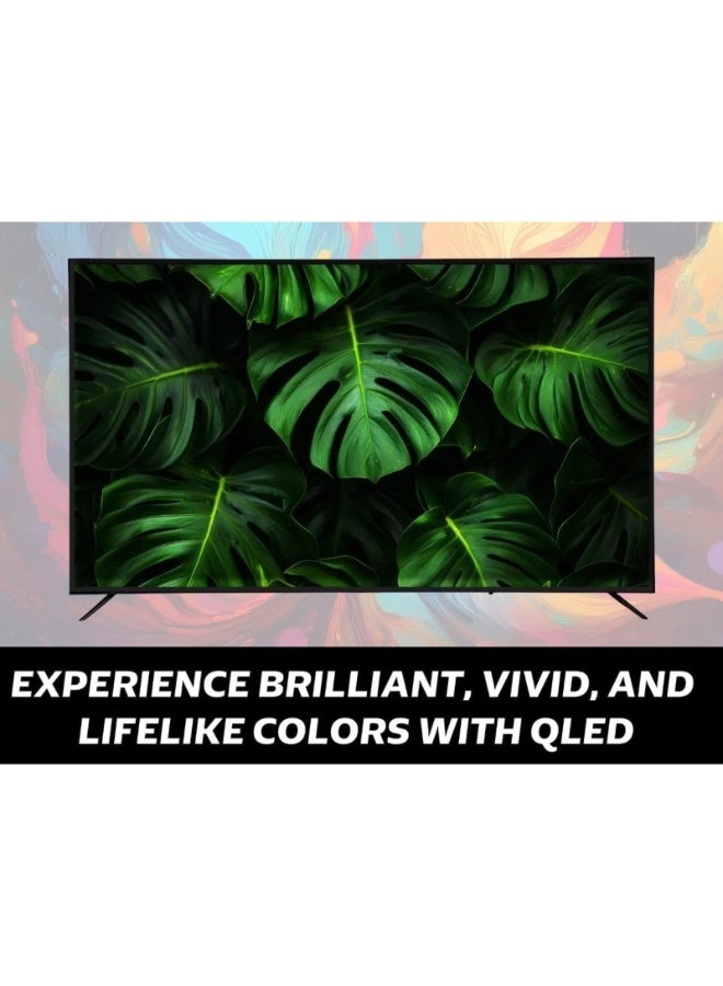 WEB-8523 QLD - 85 in