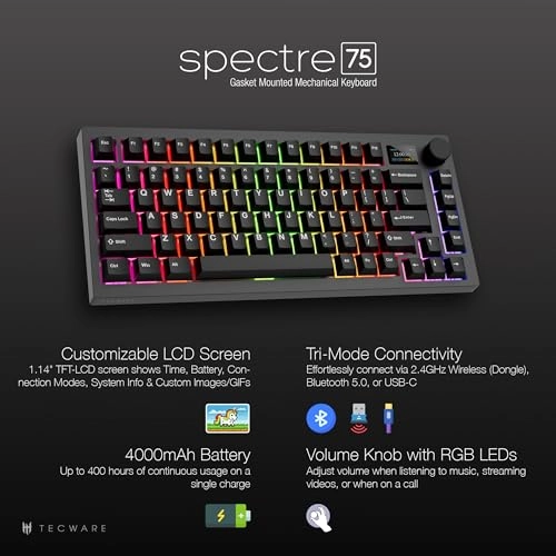 Spectre - BT USB-C 2.4 Hz