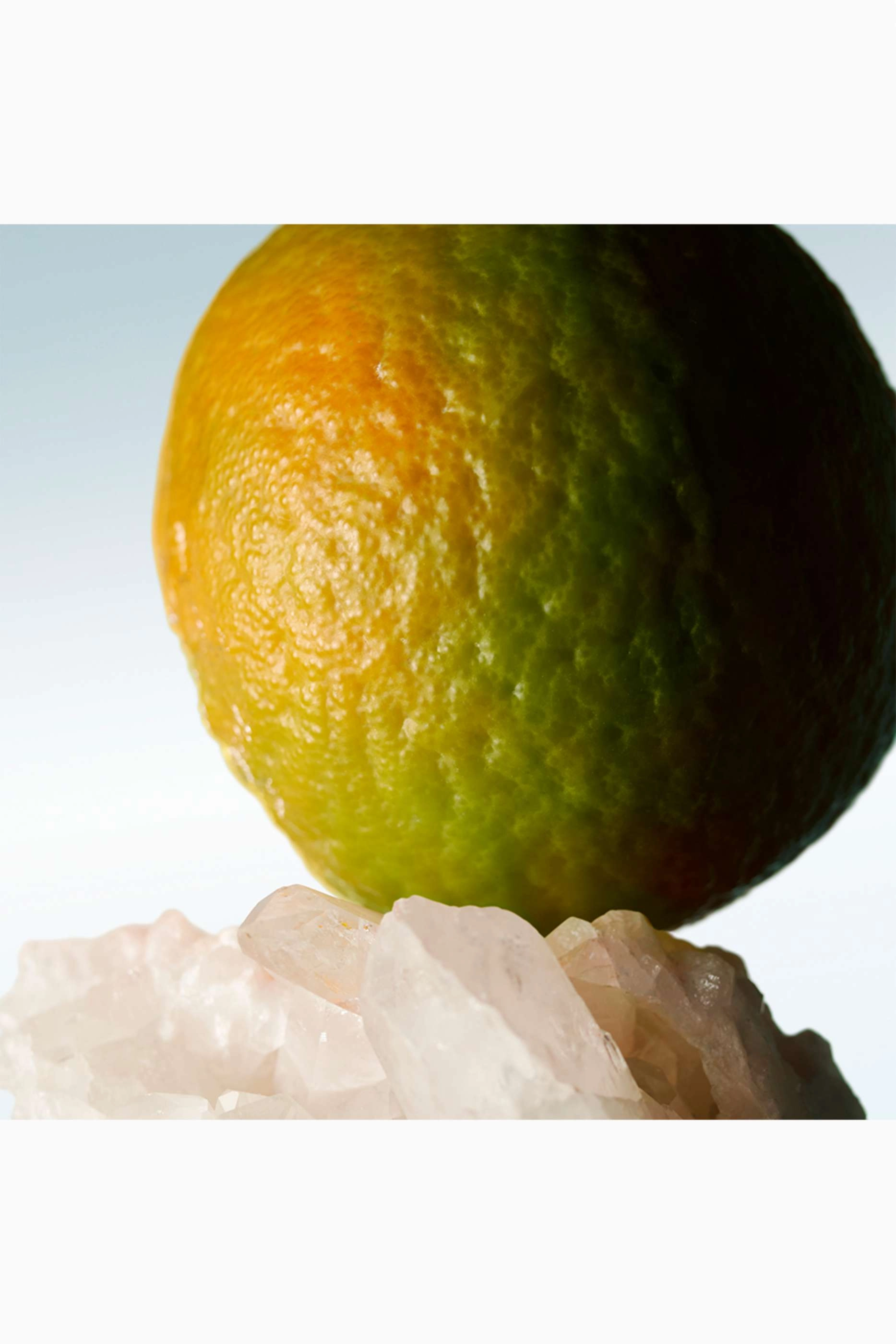 Mystic Moss Eau de Toilette 200ml