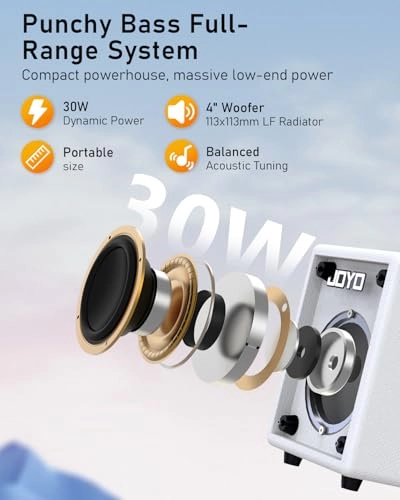 BA-30 - 30W 4" Speaker Bluetooth 5.1