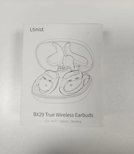 BX29 Wireless Earbud