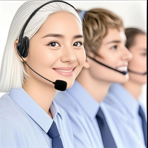 Computer Headset - Wired Headset