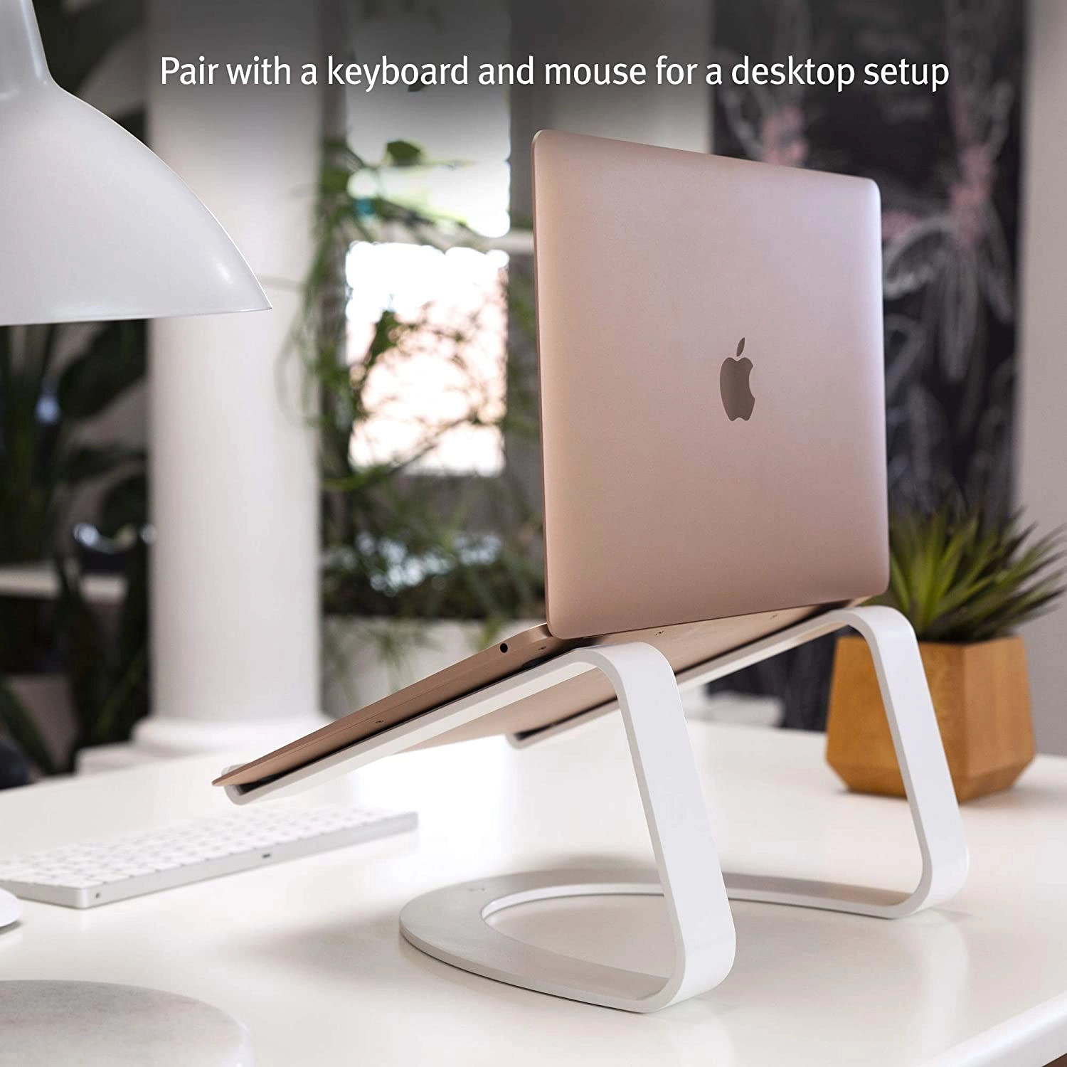 Curve Desktop Stand