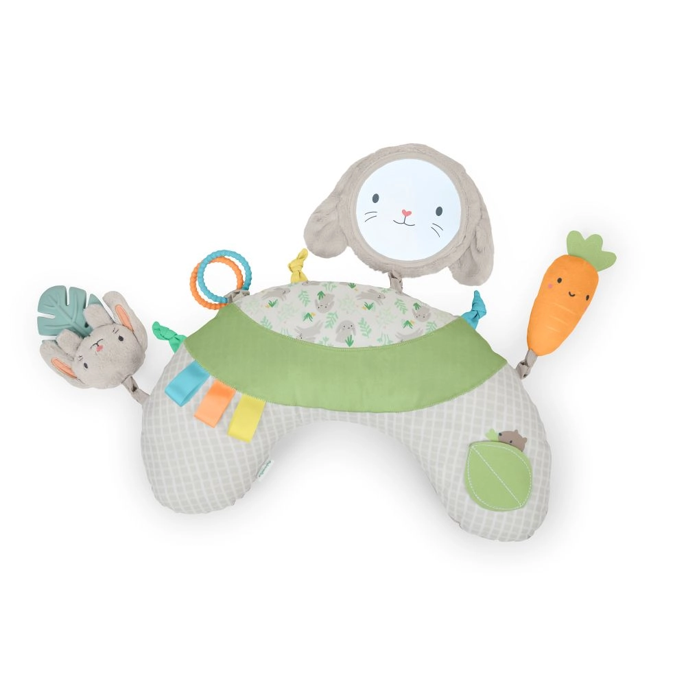 Ingenuity Cozy Sylvi - 0 - 12 months
