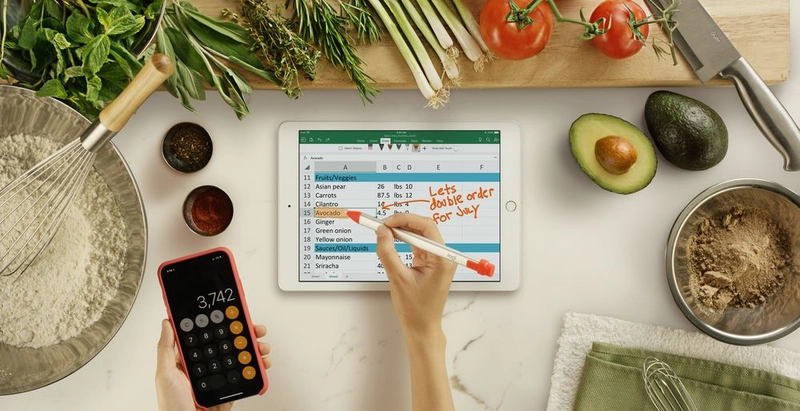 Crayon - Digital Pencil Orange iPad Compatible