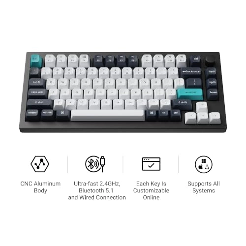 Q1 Max - AR Wired/Wireless