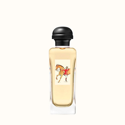 Voyage D'Hermes Eau de Toilette 100 ml